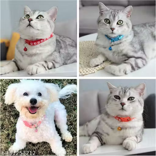 PurryPaws Nylon Cat Harness Collar Pack of 4 | Adjustable & Reflective Collars for Cats, Kittens & Persian Cats | Durable, Lightweight & Stylish Everyday Wear